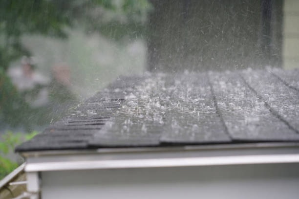 Best Flat Roofing  in Catalina Foothills, AZ